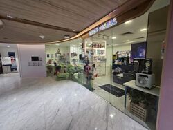 111 Somerset (D9), Shop House #551951581